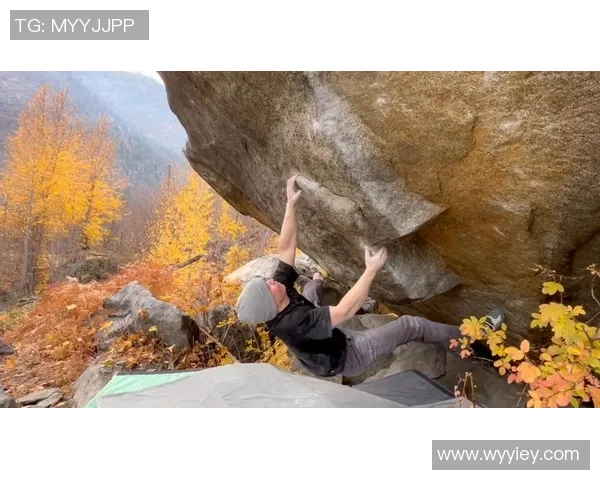 攀岩之路:张丽分享她的挑战与成就的精彩对话 攀岩之路:张丽分享她的挑战与成就的精彩对话