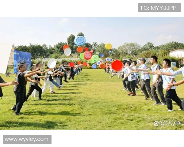 西安飞盘队战术解析:如何在比赛中提升团队协作与竞技水平
